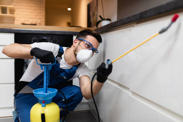 Best Ant Control Services  in Churchill, MT