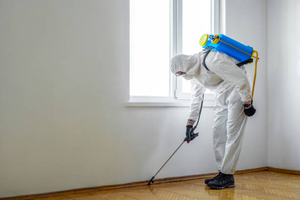 Best Pest Control Near Me in Churchill, MT