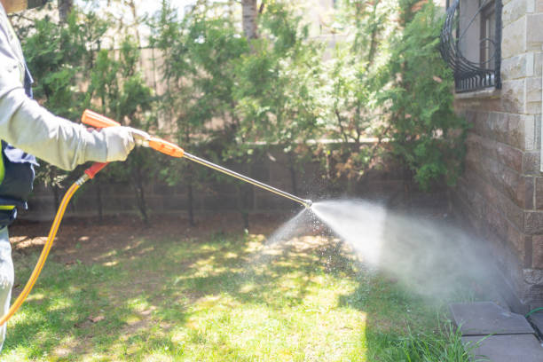 Best Affordable Pest Control Services  in Churchill, MT