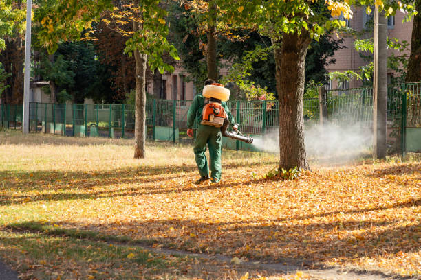 Best Exterminator Services  in Churchill, MT