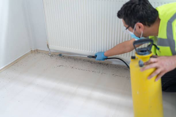 Best Local Pest Control Services  in Churchill, MT