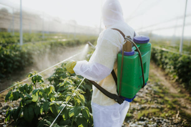 Best Emergency Pest Control  in Churchill, MT